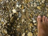 Bigfoot track picture found in Michigan on the Little Manistee River